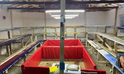 Samsun'da horoz dövüştüren 91 kişiye 1 milyon 55 bin lira ceza verildi