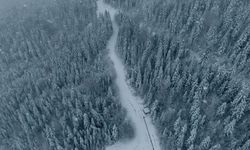 Sinop ve Samsun'da kar etkili oluyor