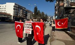 Tosya'da 'Bayrağını selamlamak istiyorsan kornaya bas' etkinliği düzenlendi