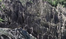 Türkiye'de korunan alan sayısı 692'ye yükseldi