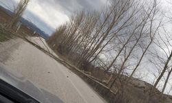 Yeşilyurt'ta şiddetli rüzgar nedeniyle yola devrilen ağaçları vatandaşlar kaldırdı