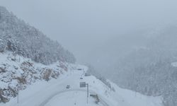 Zigana Dağı'nda kar etkili oldu