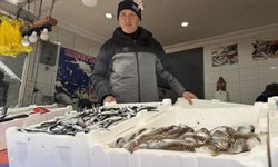 BALIKÇILAR UMDUĞUNU BULAMADI!