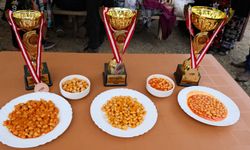 19 Mayıs ilçesinin tarım ürünleri için coğrafi işaret hazırlığı