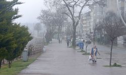 Akçakoca'da kuvvetli rüzgar etkili oldu