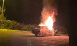 PARK HALİNDEYKEN YANDI