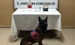 Alaca'da uyuşturucu operasyonunda 1 kişi yakalandı