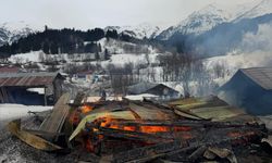 Artvin'de çıkan yangında ev ile ahır ve ambar yandı