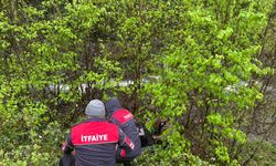 Artvin'de dereye devrilen otomobilin sürücüsü yaralandı