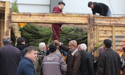 Bafra'da 'Dünya Ormancılık Günü' etkinliğinde 23 bin 900 fidan dağıtıldı