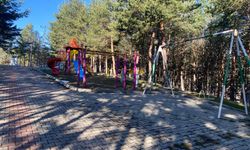 Başçiftlik'te bahar temizliği çalışması başlatıldı