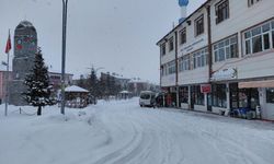 Başçiftlik'te kar yağışı etkisini sürdürüyor