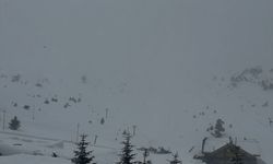 Bolu'nun yüksek kesimlerinde kar yağışı etkili oluyor