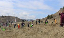 Boyabat'ta fidanlar toprakla buluştu