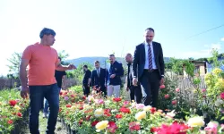 Bursa Kestel'de süs bitkileri üreticilerine destek