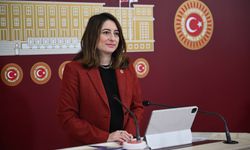 CHP'li Bankoğlu, esnaf borçlarının faizsiz dondurulmasını istedi