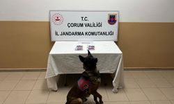 Çorum'da uyuşturucu operasyonunda 3 şüpheli yakalandı
