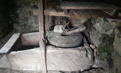 Espiye'deki Yedi Değirmenler Tabiat Parkı'ndaki turizm sezonu açıldı