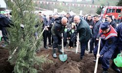 Giresun'da fidanlar toprakla buluşturuldu