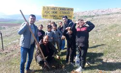 Gümüşhacıköy'de Orman Haftası'nda fidanlar toprakla buluşturuldu