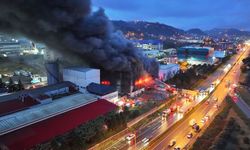 GÜNCELLEME - Trabzon'da fındık fabrikasının deposunda çıkan yangına müdahale ediliyor