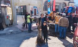 Hanönü'de vatandaşlara 2 bin fidan dağıtıldı