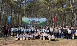 İhsangazi'de 'Dünya Ormancılık Günü' etkinliği düzenlendi