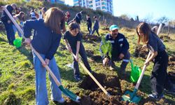 İlkadım'da Orman Haftası kapsamında fidan dikim etkinliği düzenlendi