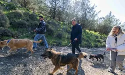 İzmir'de 'tek sağlık' hamlesi