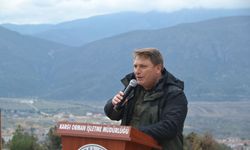 Kargı'da 250 fidan toprakla buluştu