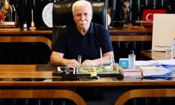 Kayseri Pınarbaşı'nda köpek katliamı