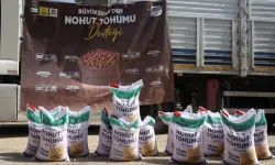 Konya az su isteyen ürünleri yaygınlaştırıyor... Yüzde 50 hibeli nohut tohumları dağıtılıyor