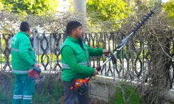Muğla Milas'ta ilkbahar bakımları sürüyor