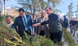 Oğuzlar'da Orman Haftası kapsamında 2 bin 500 fidan dağıtıldı