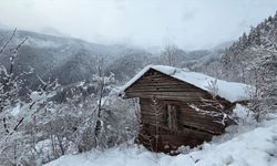 Ordu ve Artvin'de kar etkili oluyor