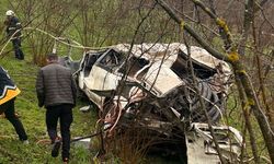 Ordu'da minibüsün şarampole devrildiği kazada 2 kişi yaralandı