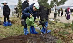 Ordu'da Orman Haftası'nda 1500 fidan dikildi