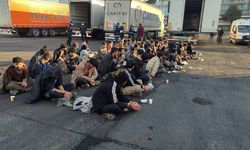 Rize'de tır dorsesinde 57 düzensiz göçmen yakalandı