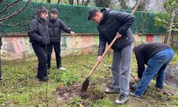 Salıpazarı'nda Orman Haftası kapsamında fidan dikim etkinliği yapıldı