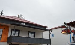 Samsun'da çatıda mahsur kalan kedinin imdadına itfaiye ekipleri yetişti