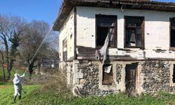 Samsun'da kahverengi kokarca zararlısına karşı kışlak ilaçlama çalışması yapılıyor