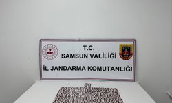 Samsun'da uyuşturucu operasyonunda 630 sentetik ecza hapı ele geçirdi