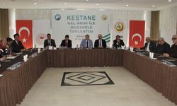 Sinop'ta kestane ağaçlarını korumak için 10 bin avcı böcek görev yapacak