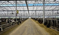 TARIMDA DİJİTAL ÇAĞ - Tarım ve hayvancılıkta teknolojinin rolü TÜME ekosistemiyle güçleniyor