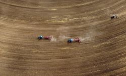 TARIM SAYIMINDA SONA DOĞRU