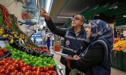 BAKANLIKTAN DENETİM AÇIKLAMASI