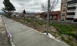 Tokat Belediyesinin altyapı ve üstyapı çalışmaları sürüyor