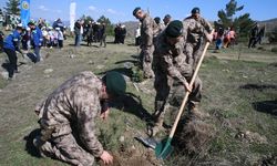 Tokat'ta Orman Haftası'nda fidanlar toprakla buluşturuldu