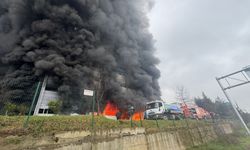 Trabzon'da fındık fabrikasının deposunda çıkan yangına müdahale ediliyor