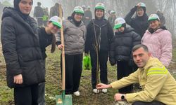 Türkeli'de fidanlar toprakla buluşturuldu